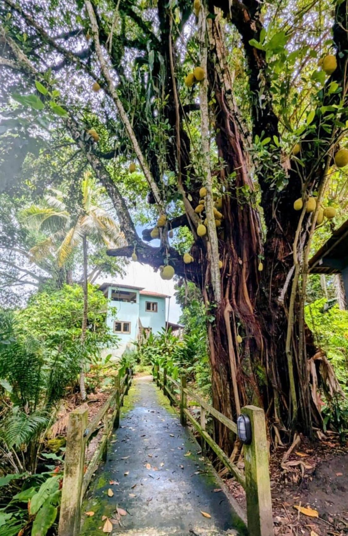 Alecrim Hostel E Pousada Velha Boipeba Bagian luar foto